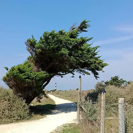 Les Hameaux Des Sables Vignie, Saint-georges-d'oleron, Not Detached سا جورج دوليه